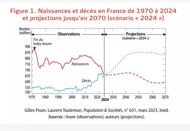 Figure 1. Naissances et décès
